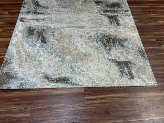 Quiet Modern Carpet & Rug 6x9