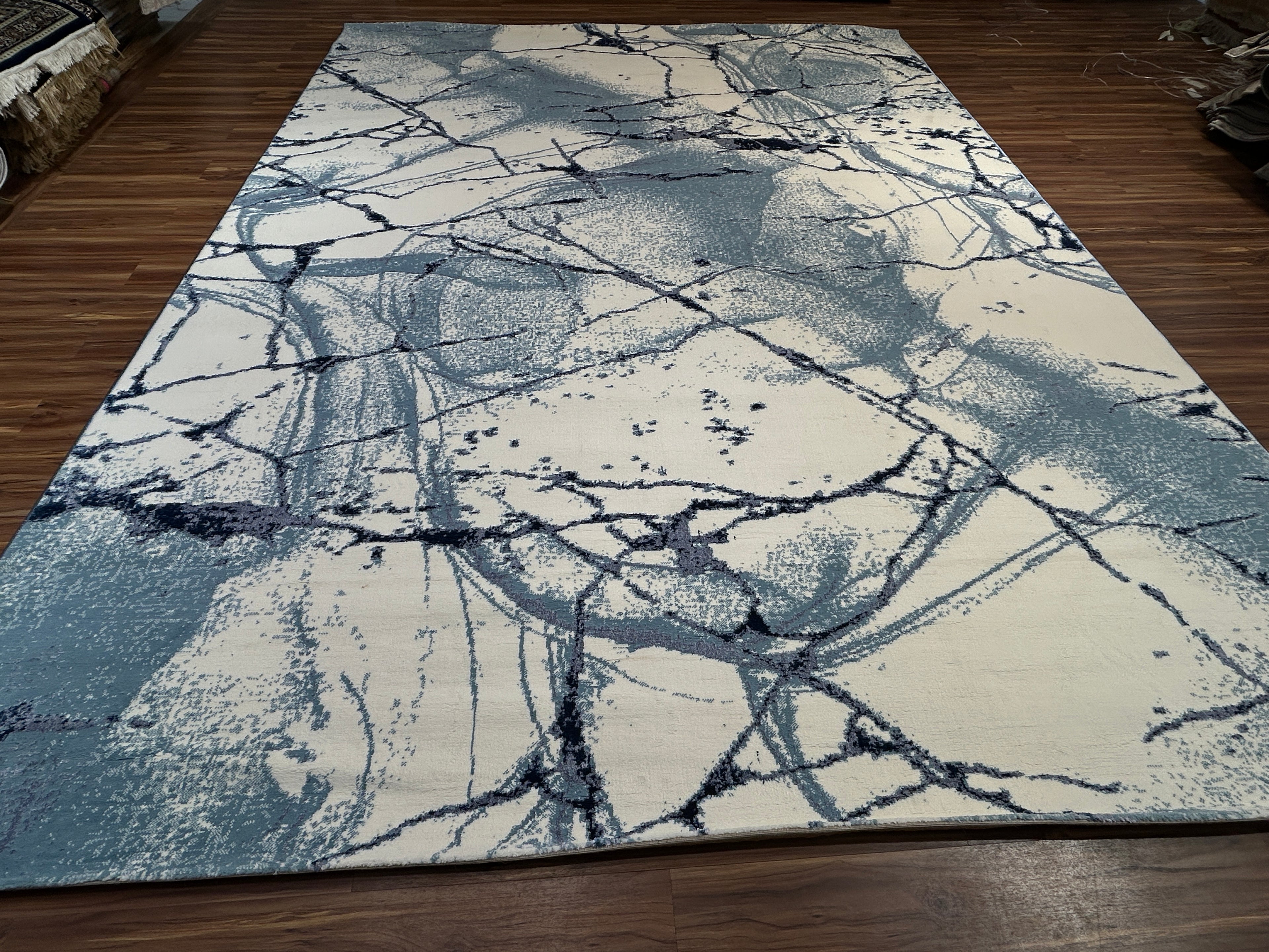 Avenza Modern Carpet & Rug 9X12