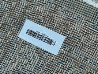 Zarina Persian Carpet & Rug 3x5