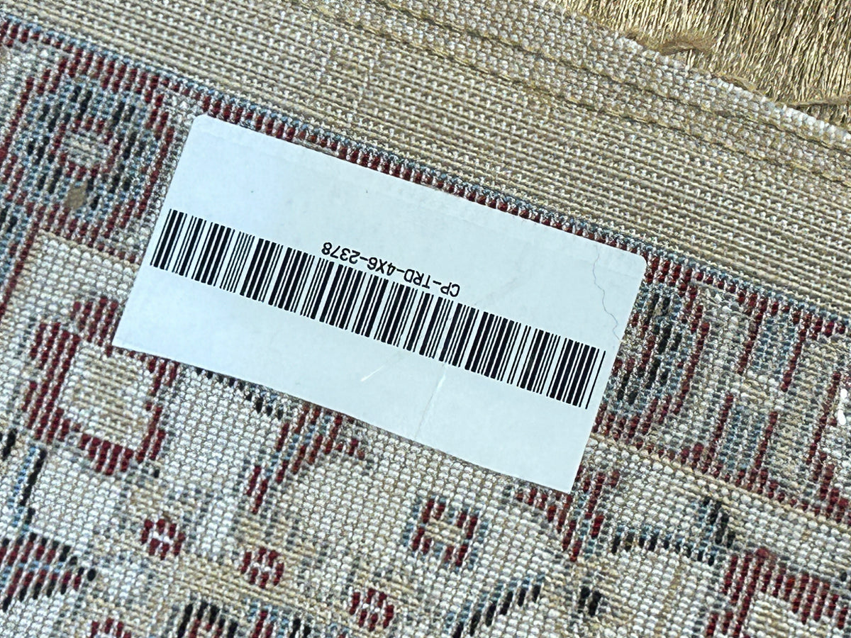 Anisa Persian Carpet & Rug 4x6