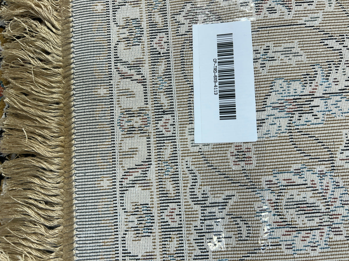 Aleena Persian Carpet & Rug 6x9