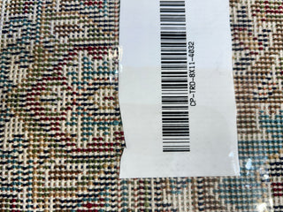 Riaz Persian Carpet & Rug 8x11