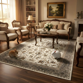 Shapur Iranian Carpet & Rug 5x7