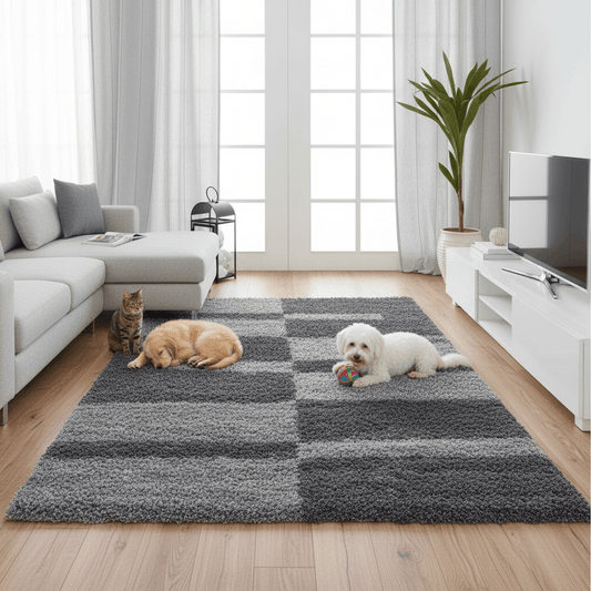 Shaganza Shaggy Carpet & Rug
