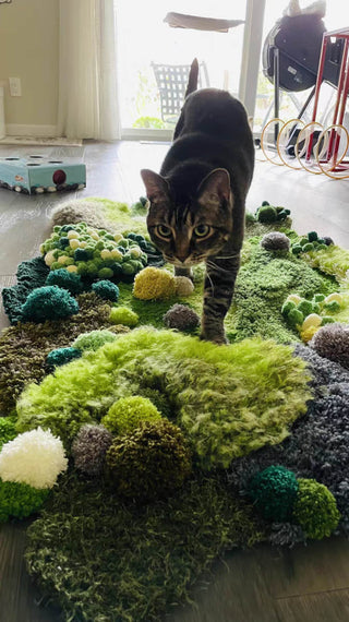 Blush Moss Hand Tufted Carpet & Rug