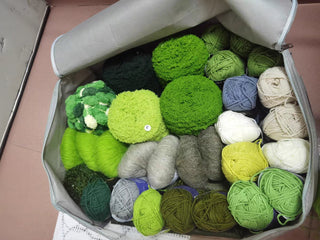 Blush Moss Hand Tufted Carpet & Rug