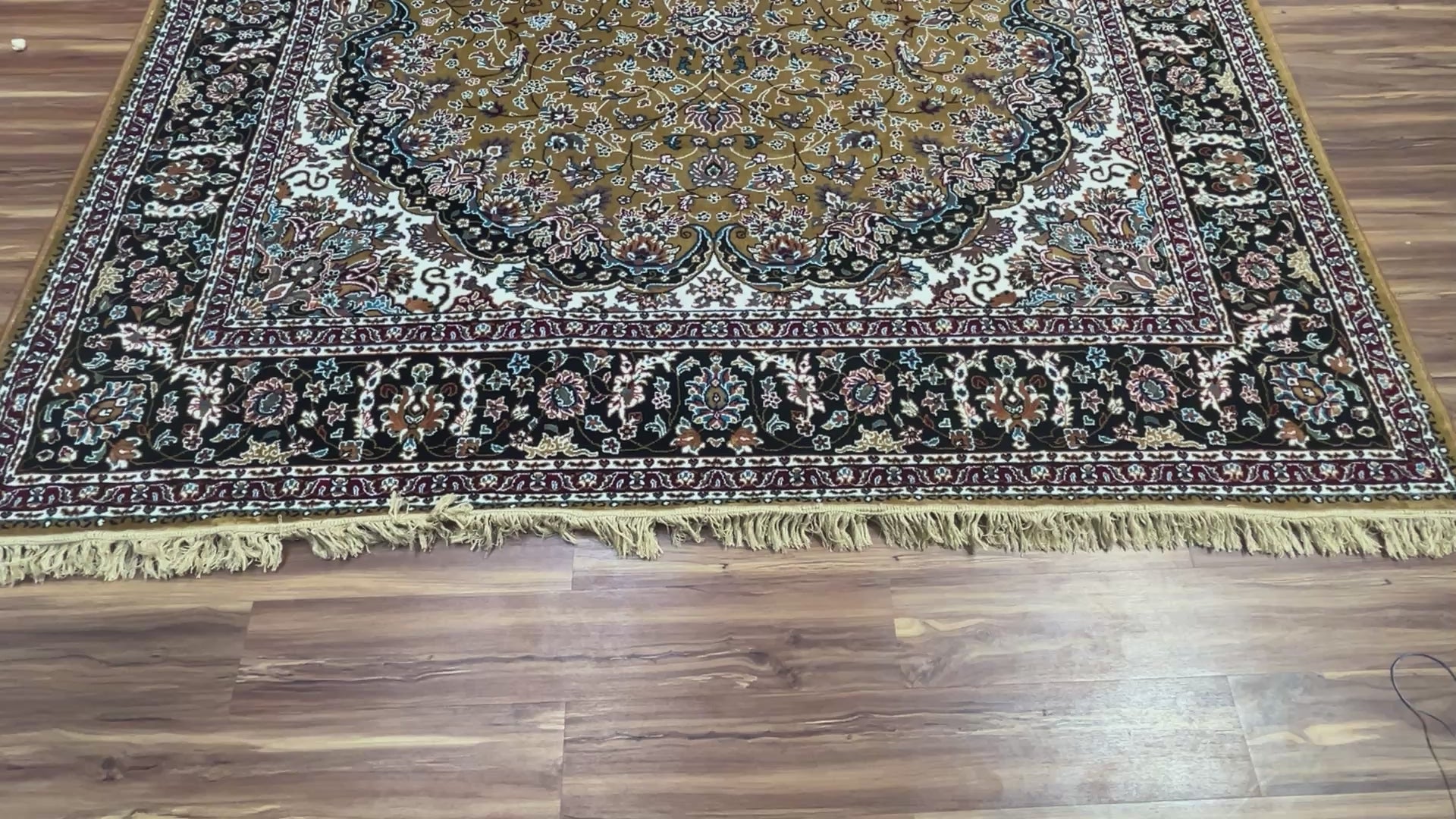 Ishaq Persian Carpet & Rug 8x11