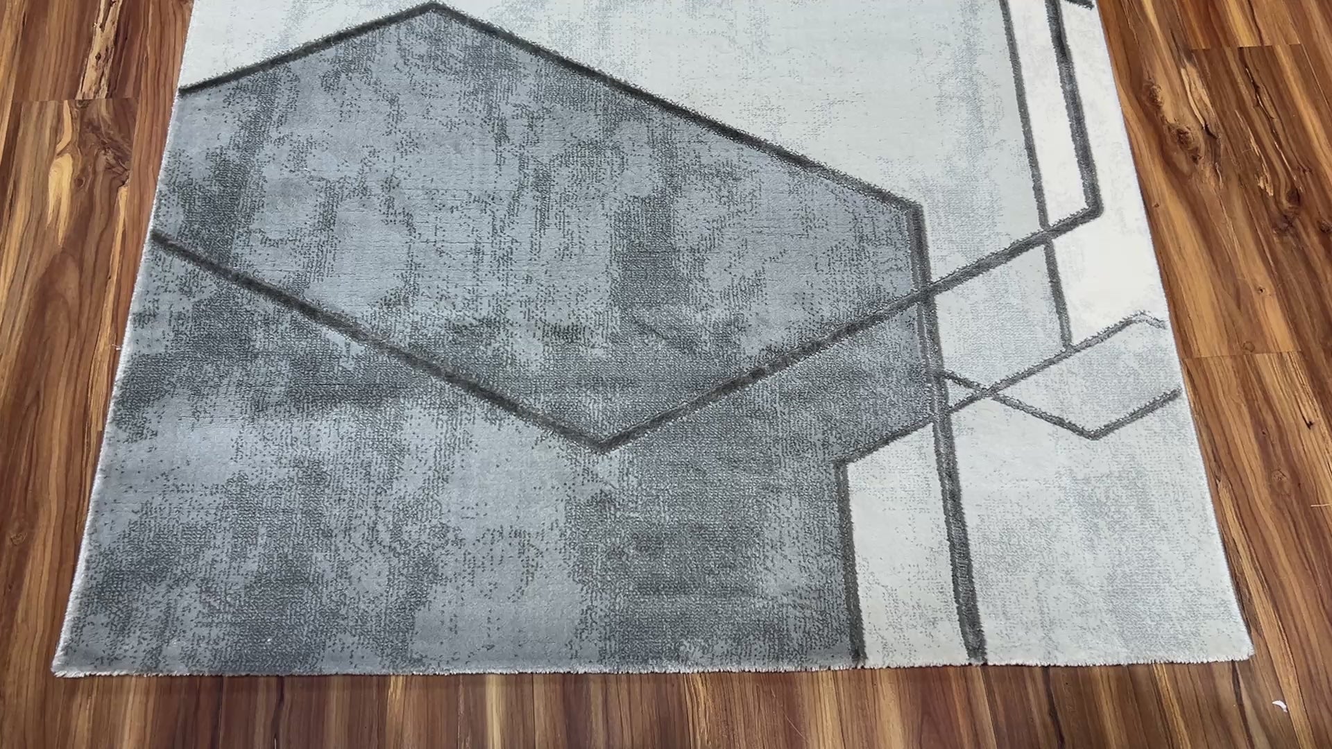 Trance Modern Carpet & Rug 6.6x9.9