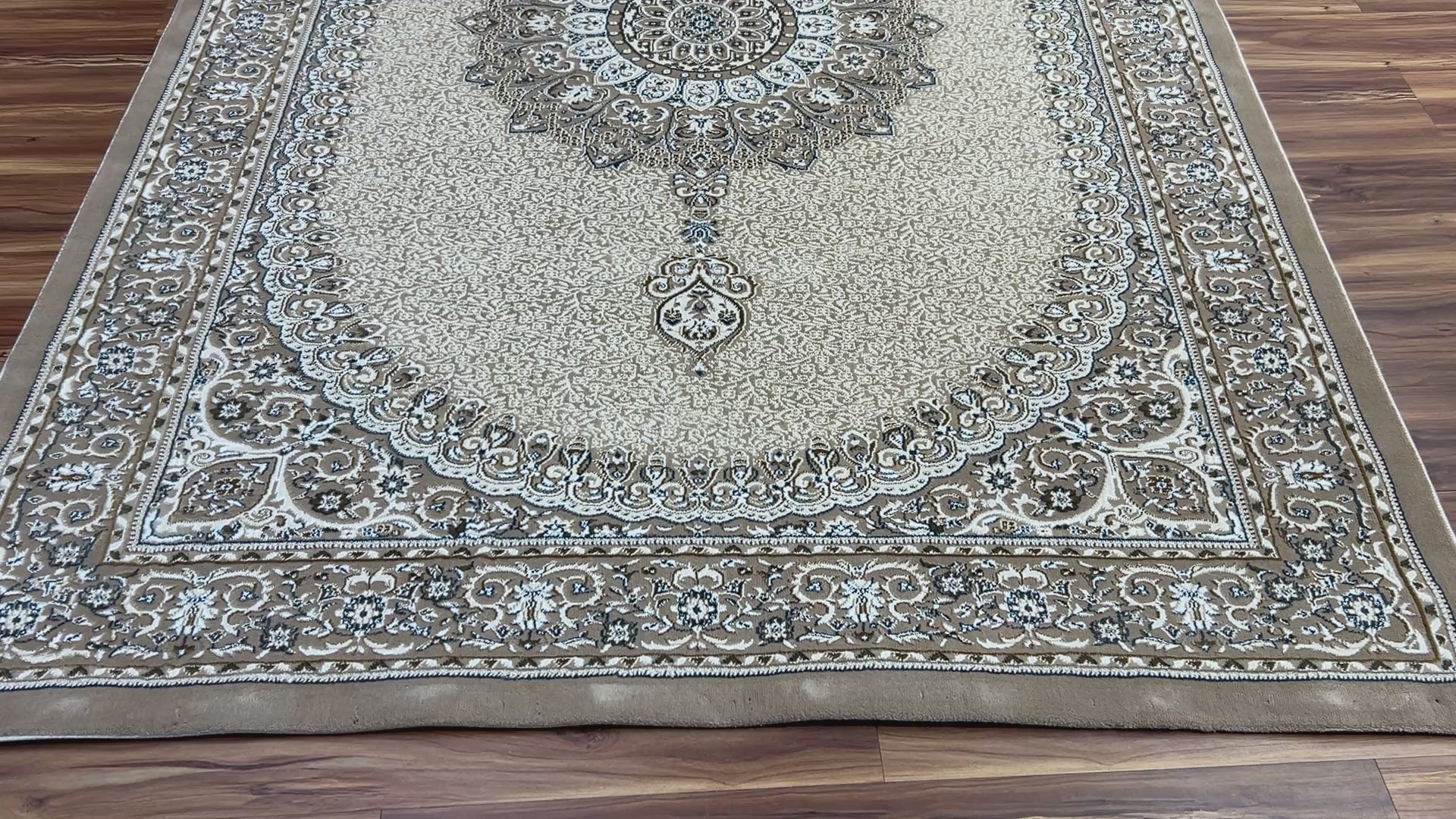 Asmi Modern Carpet & Rug 6.6x9.9