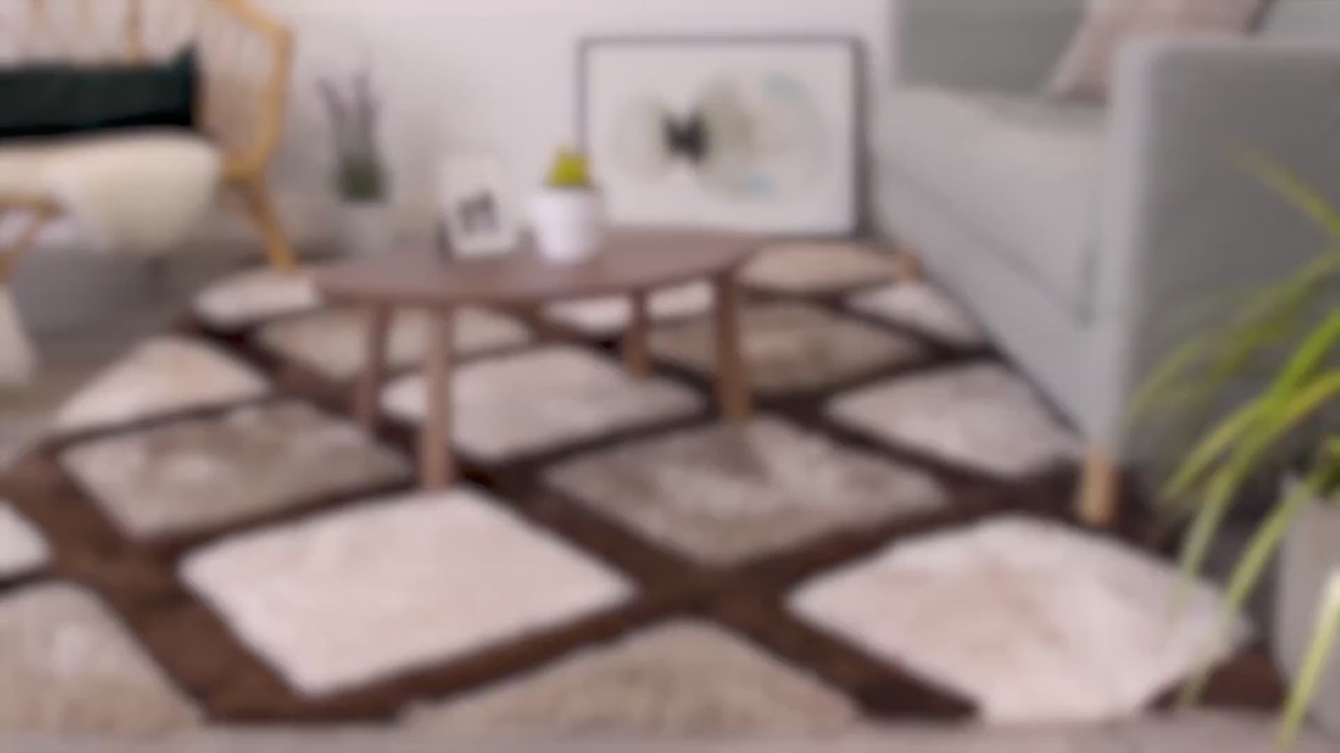 Shagura Shaggy Carpet & Rug