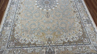Parisa Iranian Carpet & Rug 6x9