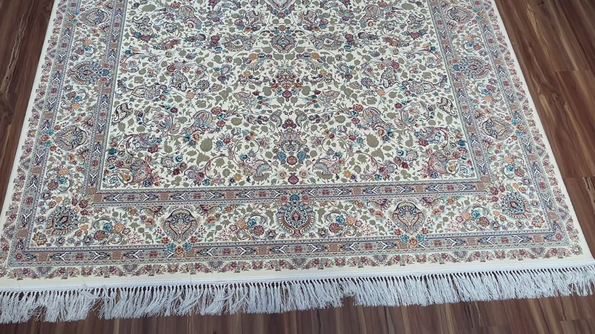 Arezou Iranian Carpet & Rug 6x9